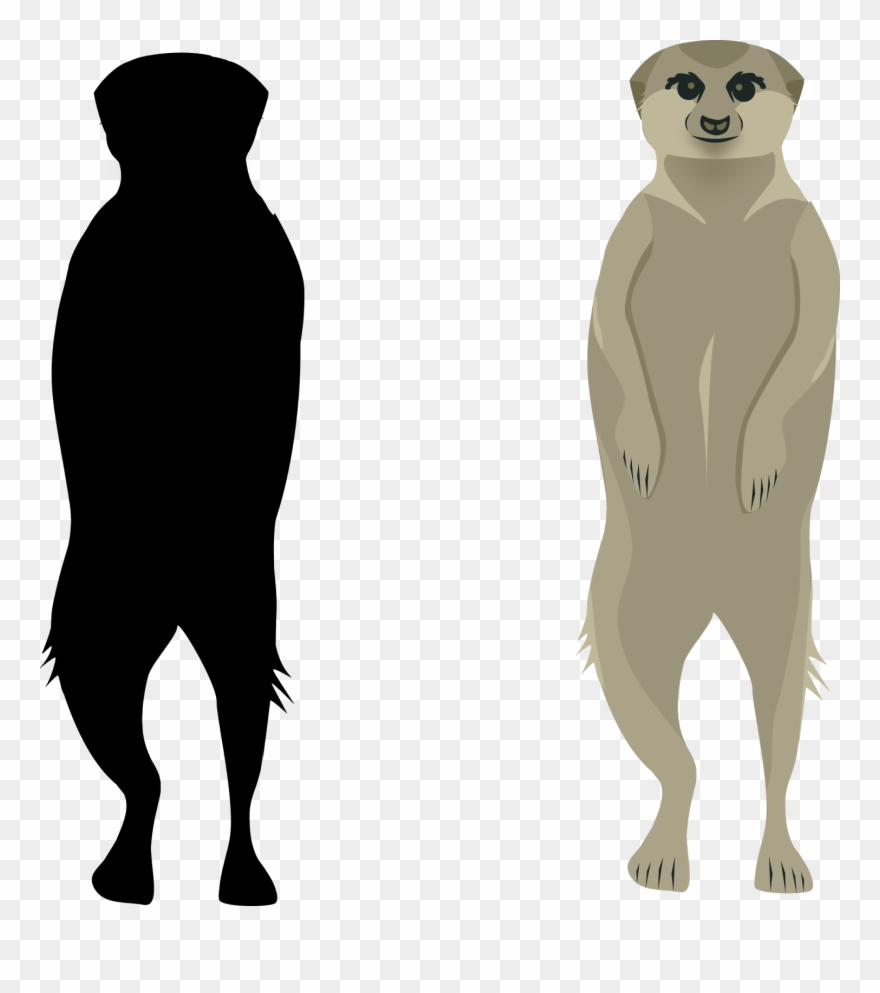 One Thing I Do Wish I Had Changed Was The Meerkats Clipart