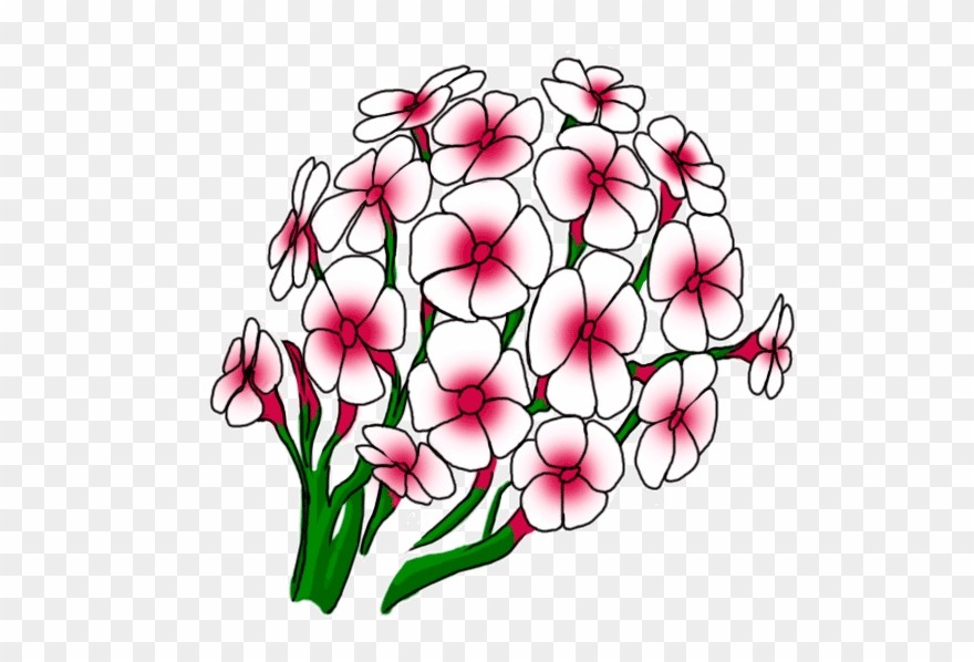 Easy Drawings Step By Flowers Clipart