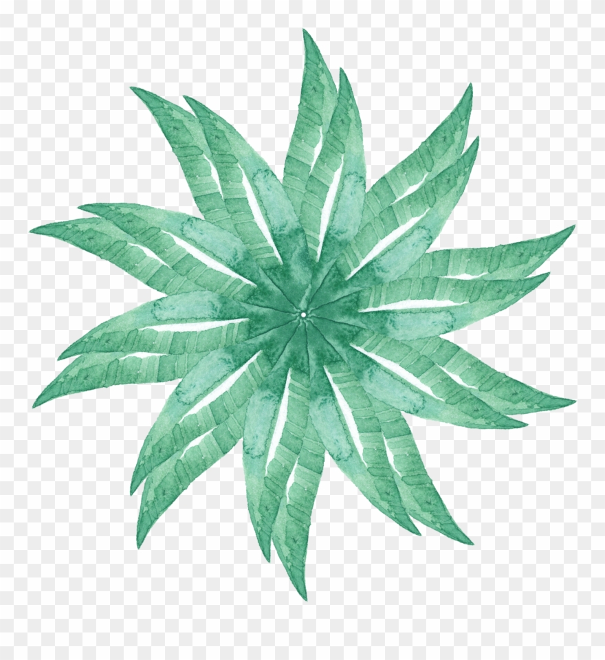 Simple Stylish Creative Watercolor Png And Psd Clipart