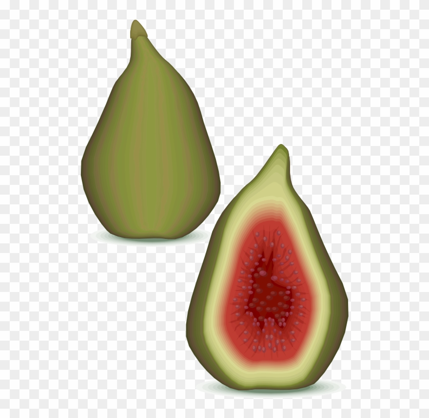 Medium Image Clipart