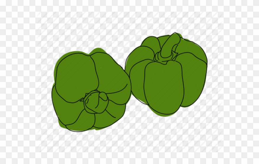 Drawn Vegetable Green Pepper Clipart