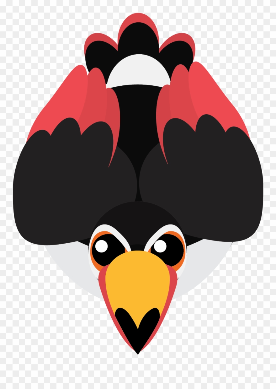 But, What Was An Argentoucan What Did It Do What Did Clipart