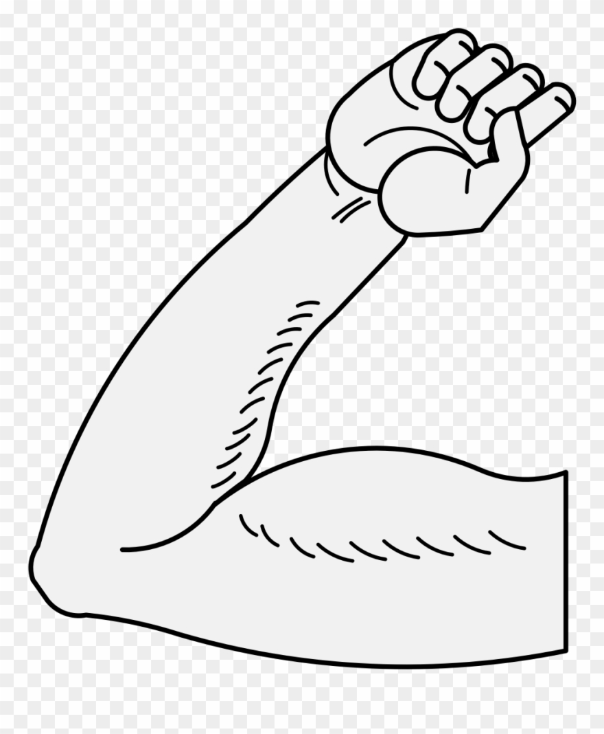 Pdf Clipart