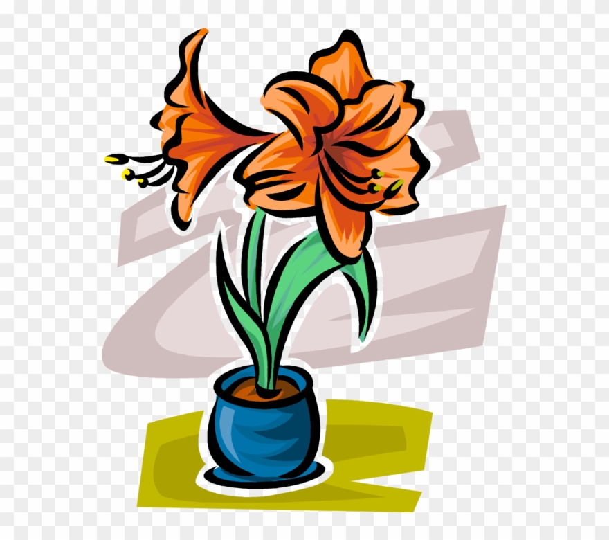 Vector Illustration Of Botanical Flowering Plant Garden Clipart