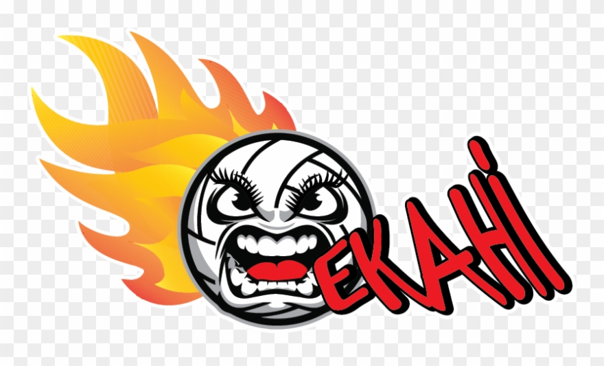 Official Apparel Store Clipart