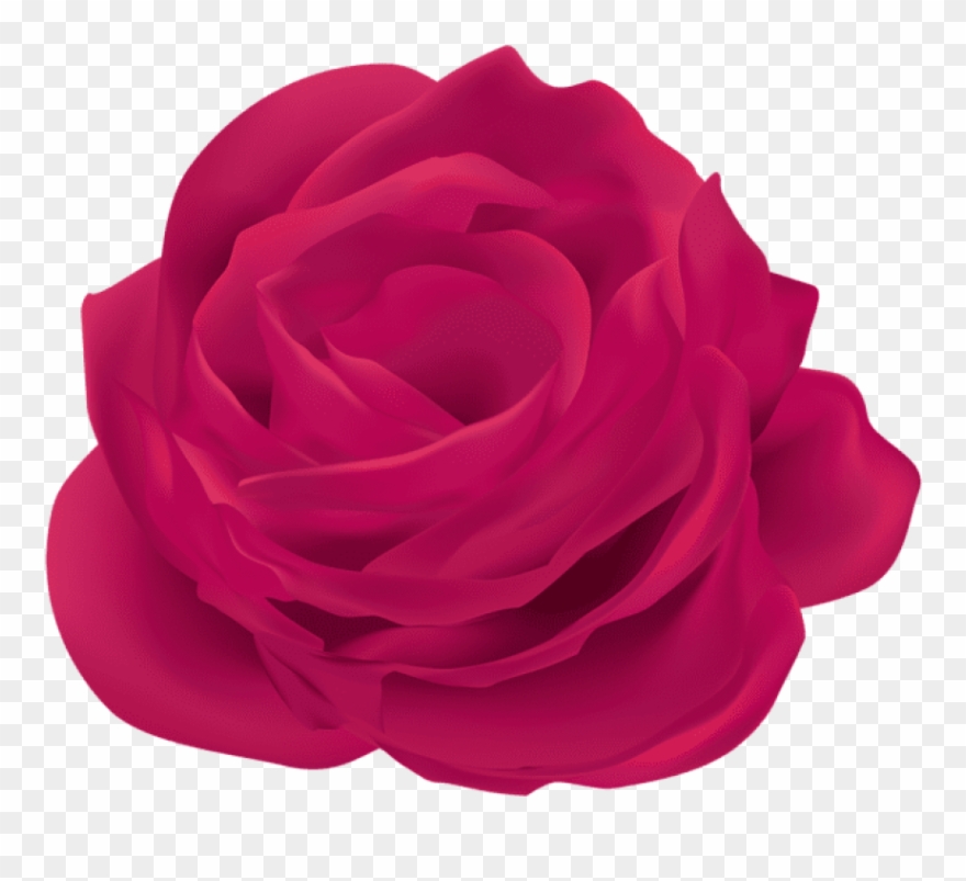 Free Png Pink Rose Flower Png Images Transparent Clipart