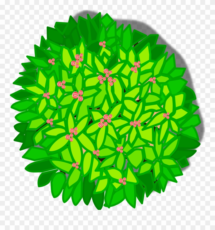 Tree Top View Clipart , Png Download Transparent Png