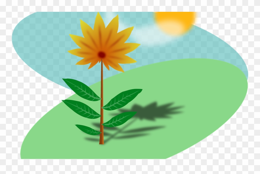 Spring Flower Yellow Free Vector Graphic On Pixabay Clipart