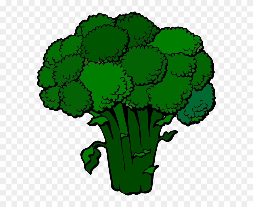 Brokolica Food Png, Free Clipart Images, Language Lessons, Transparent Png
