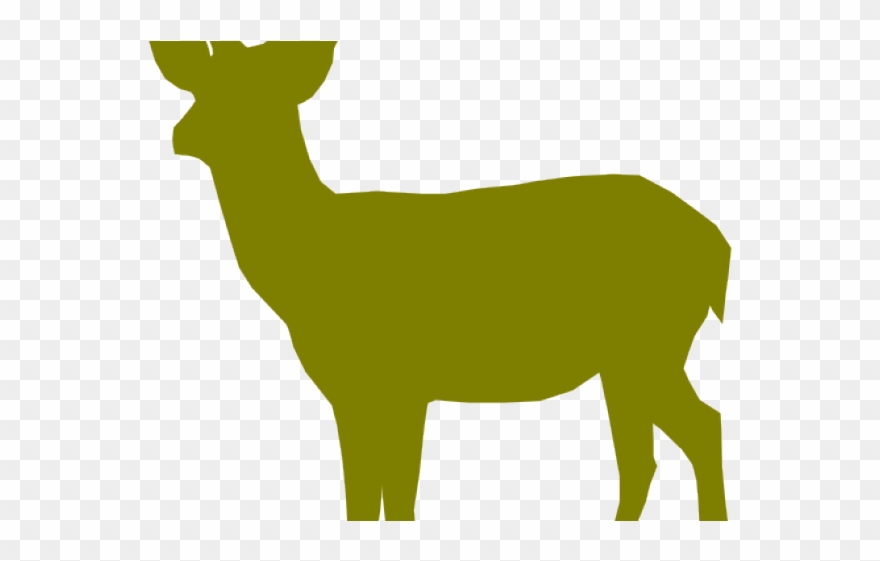 Dear Clipart Deer Drinking Water - Png Download