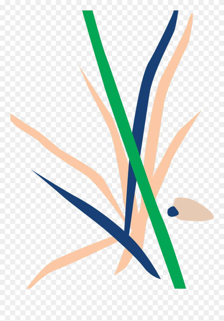 Bloomscape Potted Dracaena Marginata Bush Clipart