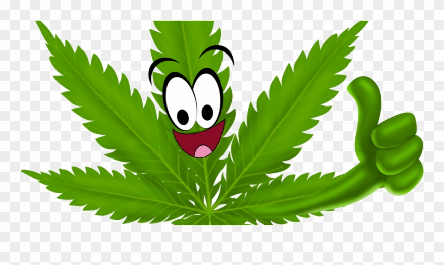 How Cannabis Could Turn The Opioid Epidemic Around Clipart