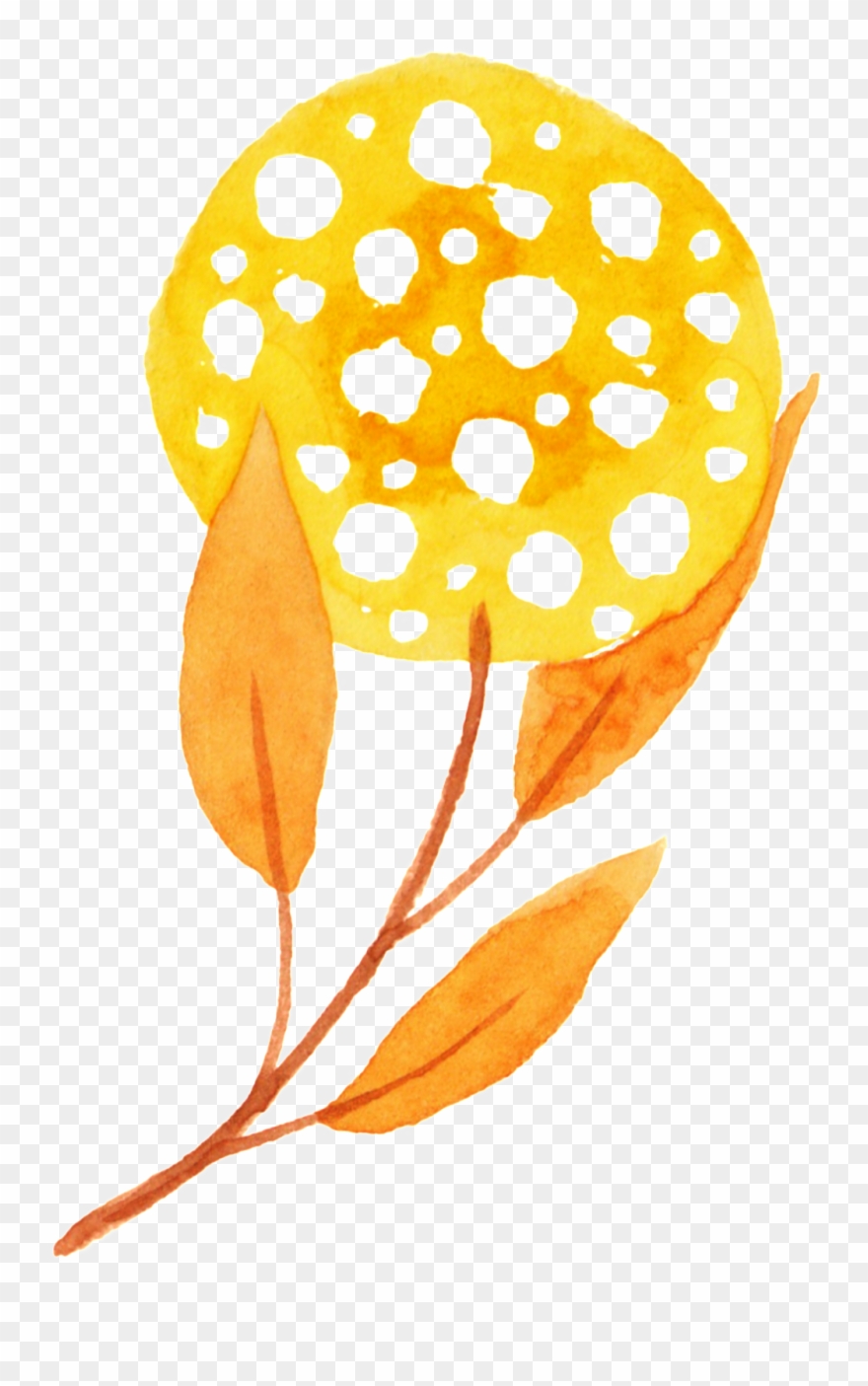 Plant Autumn Transparent Free Buckle Png Clipart