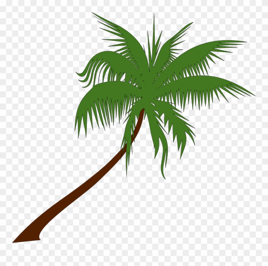 Church Of The Palms Clipart