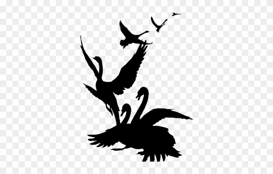 Black Swan Clipart Standing - Png Download