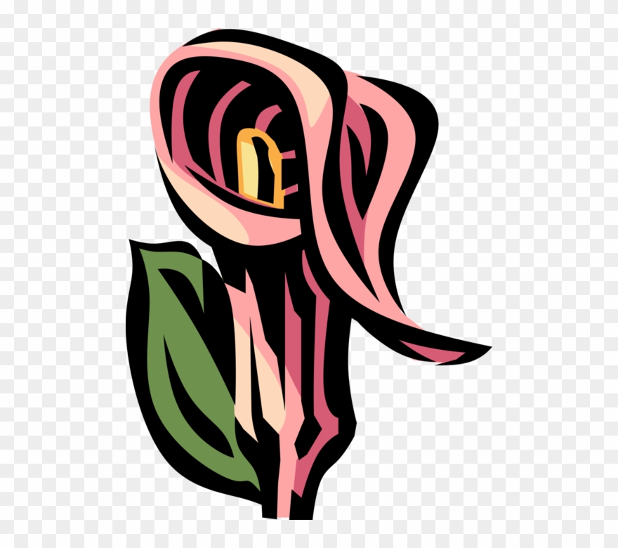 Vector Illustration Of Jack In The Pulpit Common Woodland Clipart