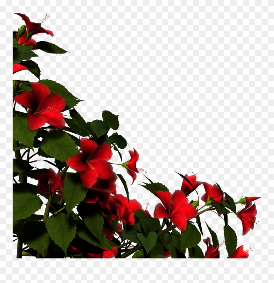 1024 X 1024 5 0 Clipart