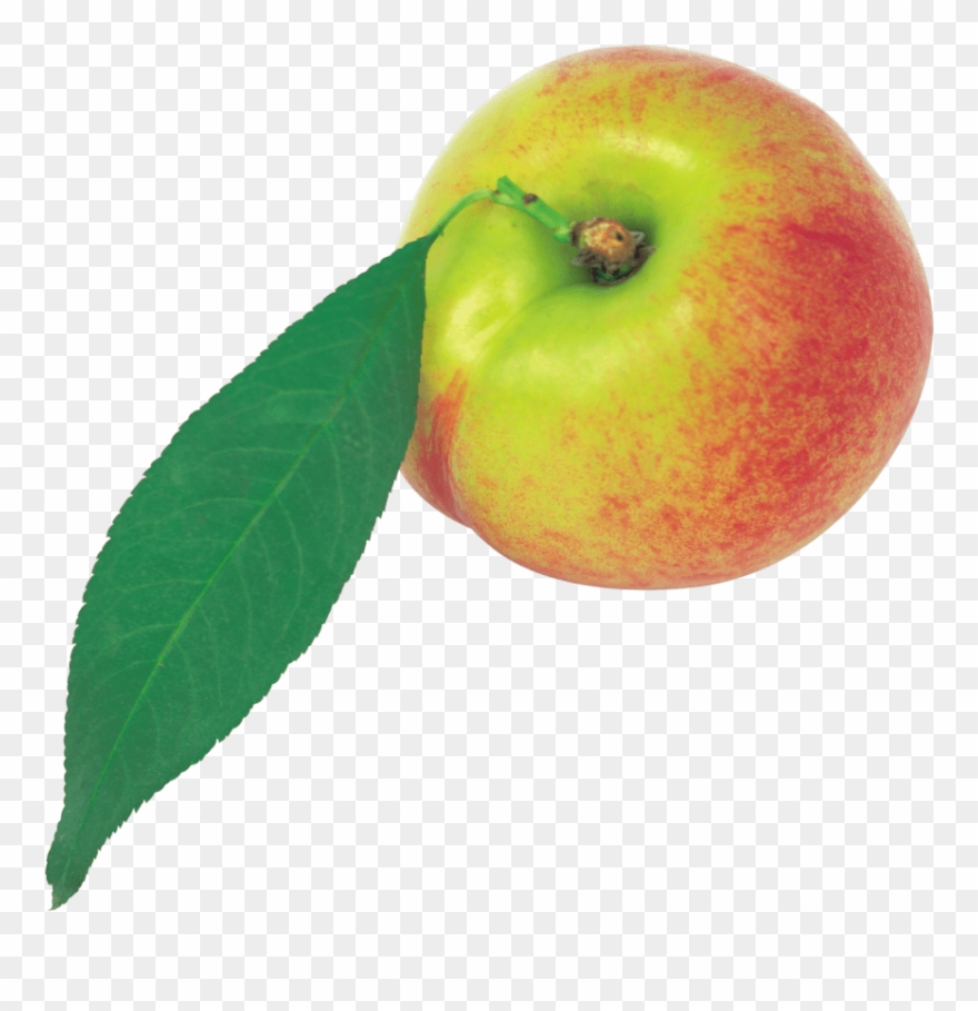 Free Png Peach Png Images Transparent Clipart