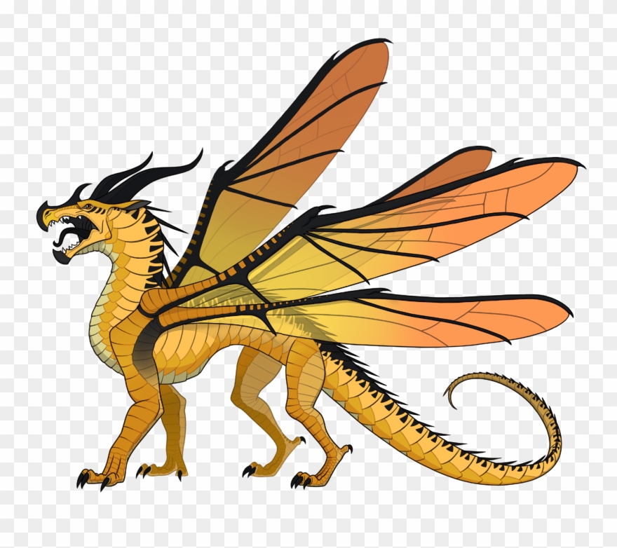 The Librarian Clipart