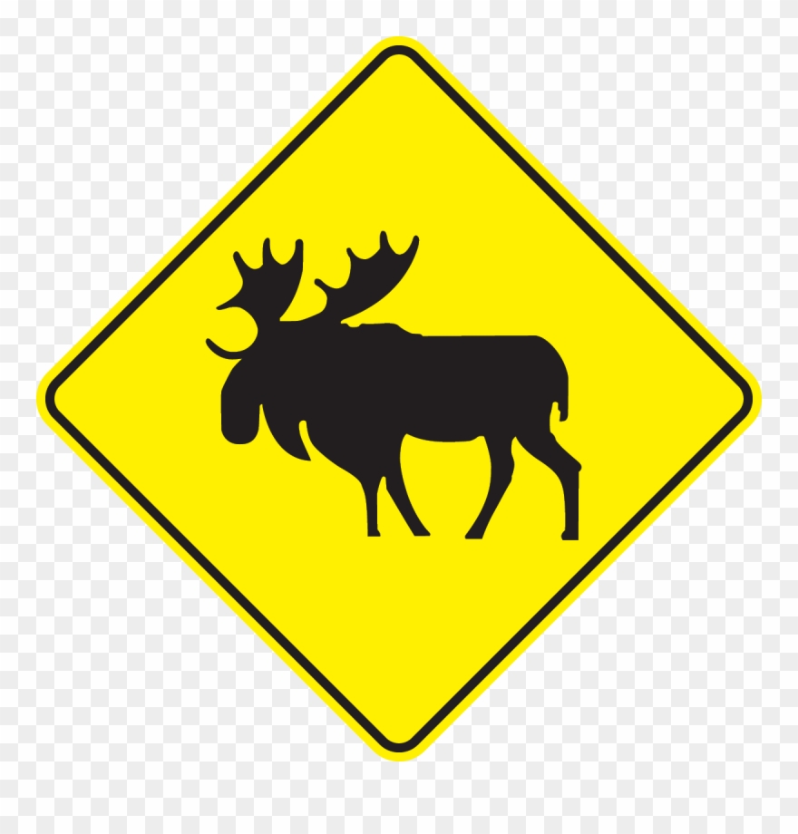 Moose Crossing Dim Clipart