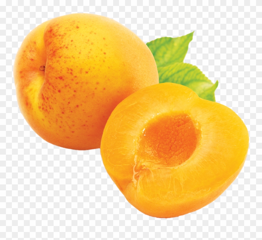 Apricot Png Clipart