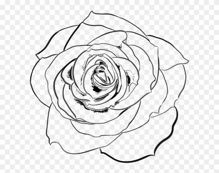 Clip Art Black And White Download Nothing But A Free - Png Download