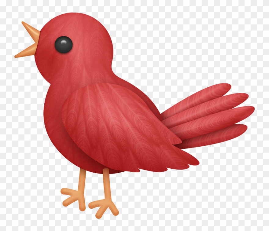 ○‿✿⁀ Birds ‿✿⁀○ Clipart