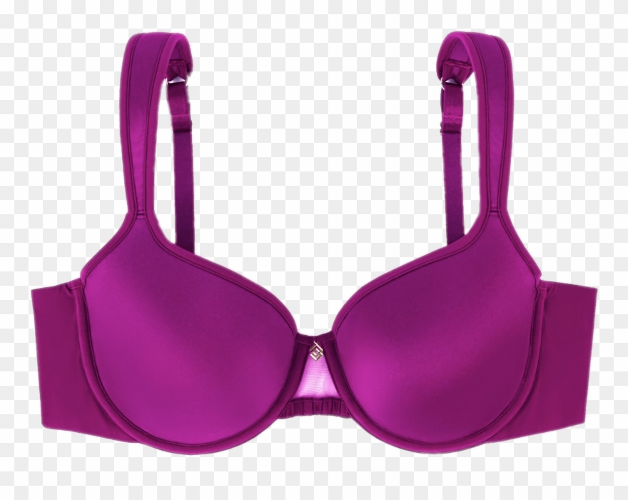 Download Purple Bra Transparent Png Clipart