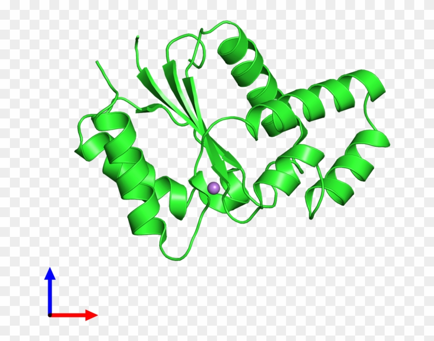 Pdb 3jrn Coloured By Chain And Viewed From The Front Clipart