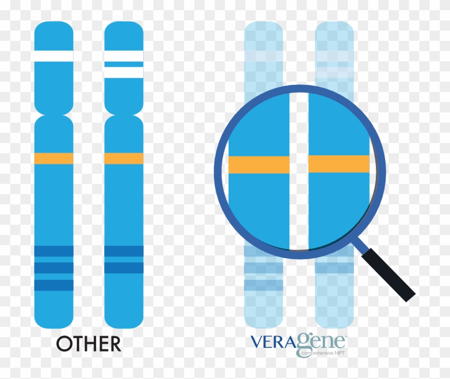 Targeted Genomic Analysis Clipart