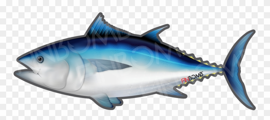 Fish, Image, Price Clipart