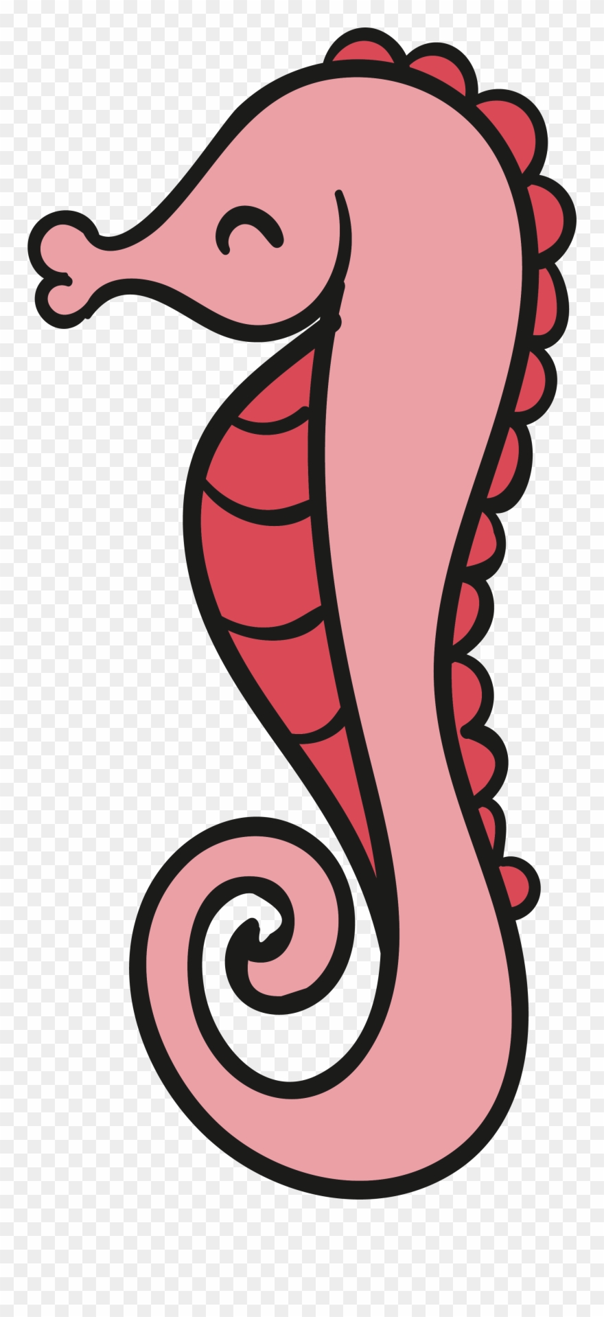 Drawing Seahorse Eyes Clipart