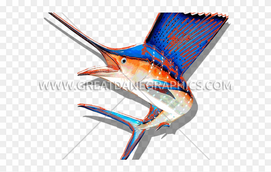 Sailfish Clipart Wahoo - Png Download
