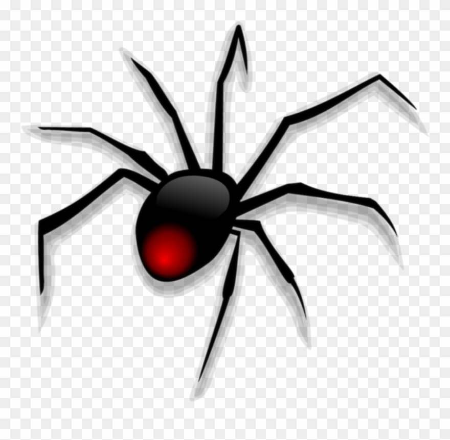 Spider Spiderweb Spiders Insect Ftestickers Redspider Clipart