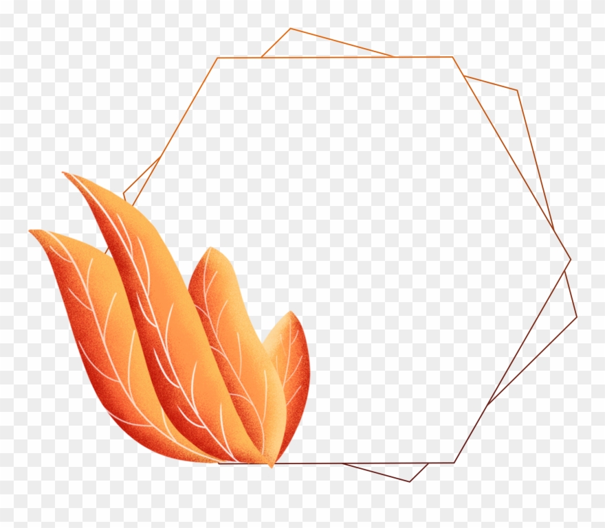 Hand Painted Border Plants Leaves Coral Orange Png Clipart