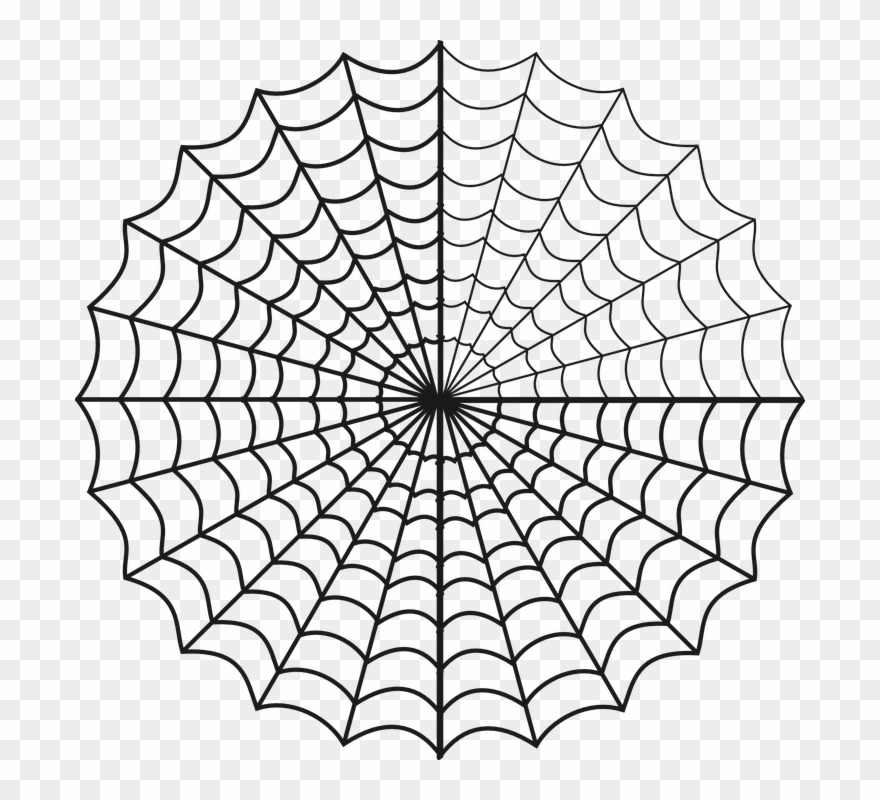 Drawn Spider Web Circle Clipart