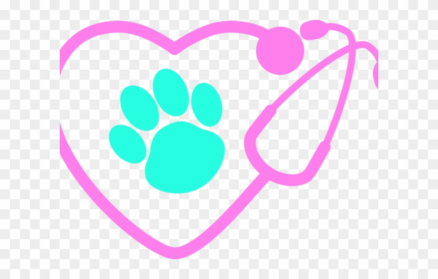 Paw Clipart Stethoscope - Png Download
