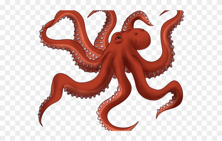 Drawn Octopus Cool Clipart
