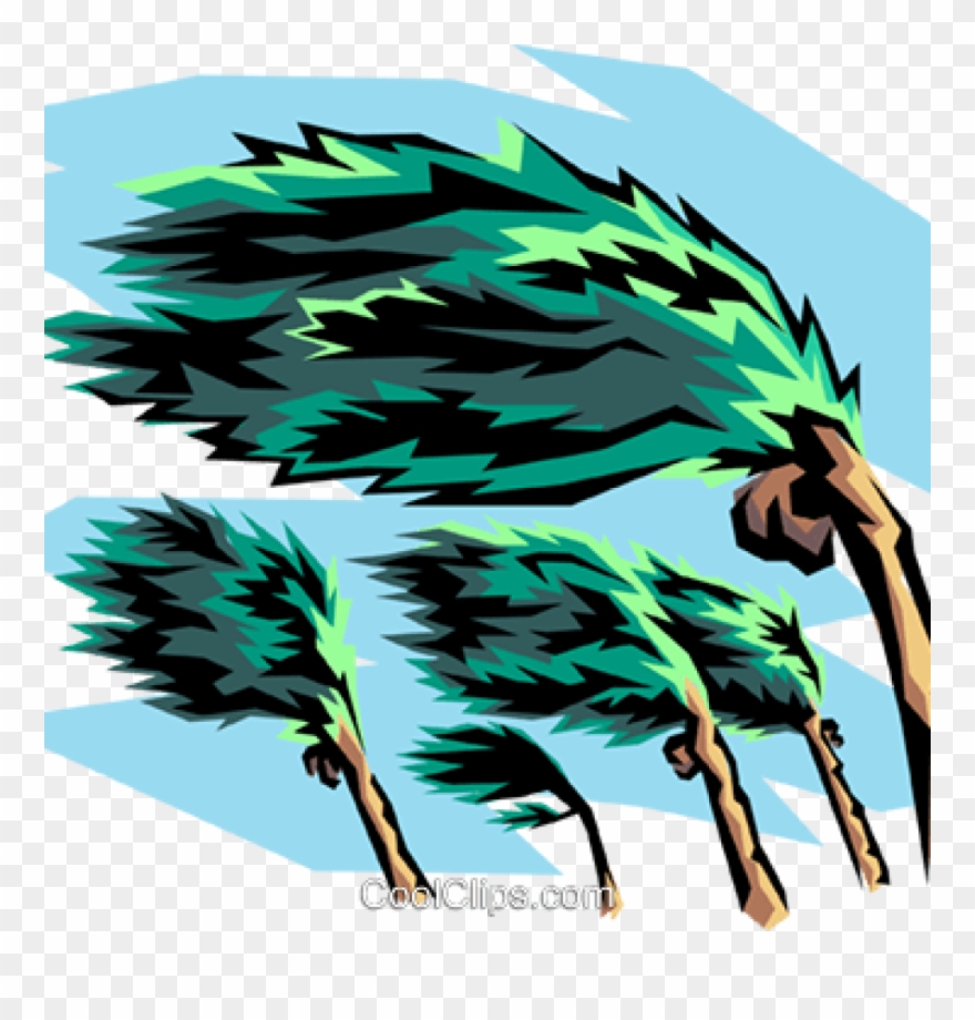 Clip Art Hurricane Collection Of 14 Free Hurricano - Png Download