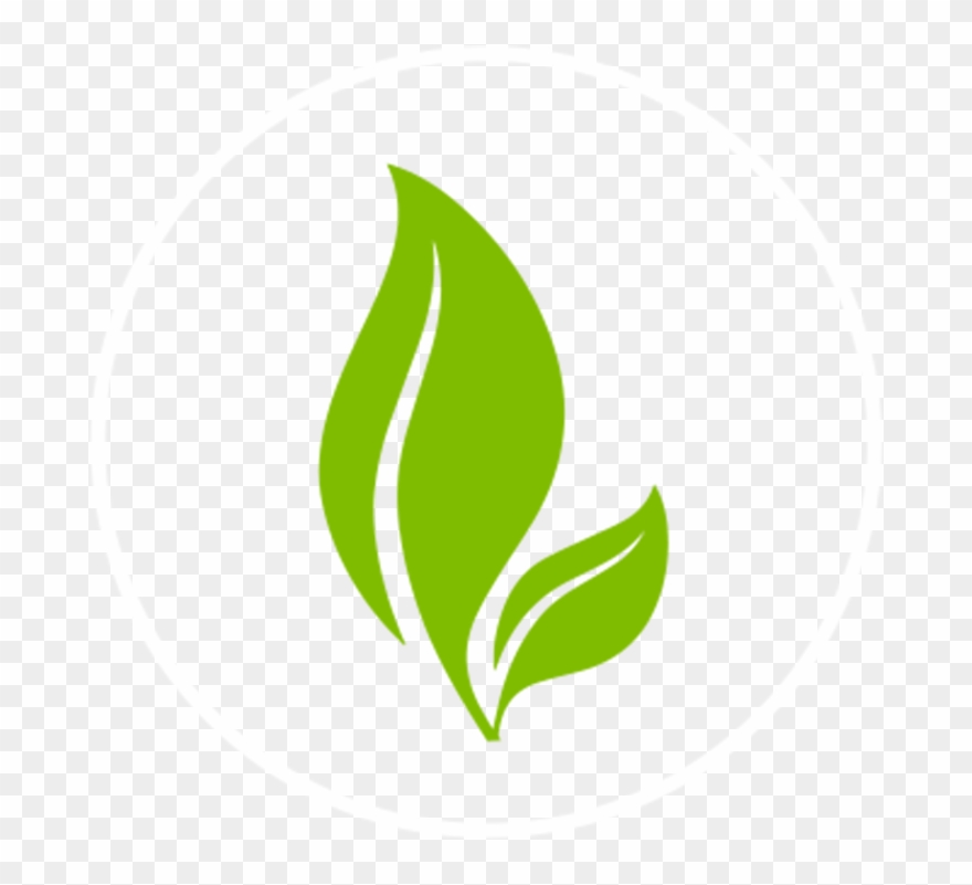 Fun, Fresh And Focused Clipart