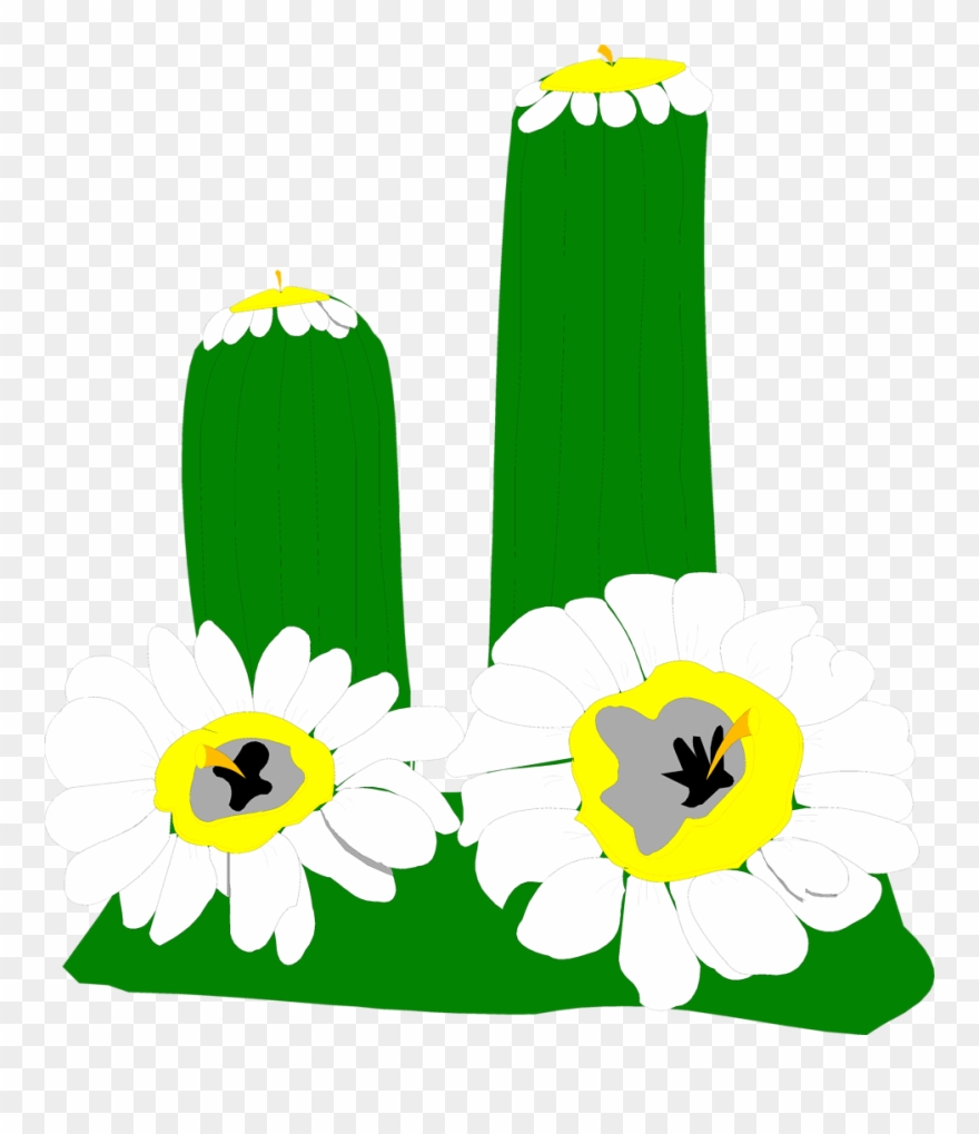 Cactus Clip Art With Transparent Background - Png Download