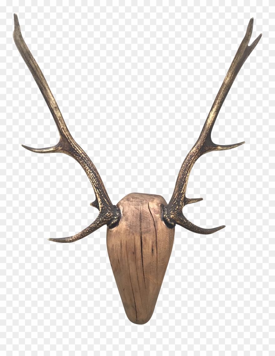 2549 X 3179 1 0 Clipart