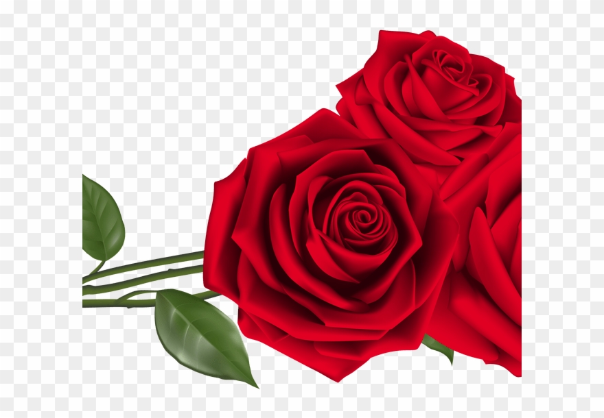Red Rose Clipart Top View - Png Download