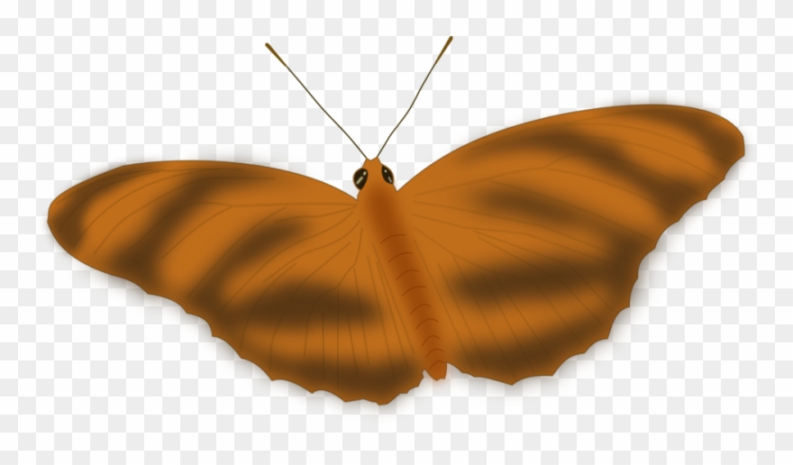 An Ethereal Butterfly Clipart