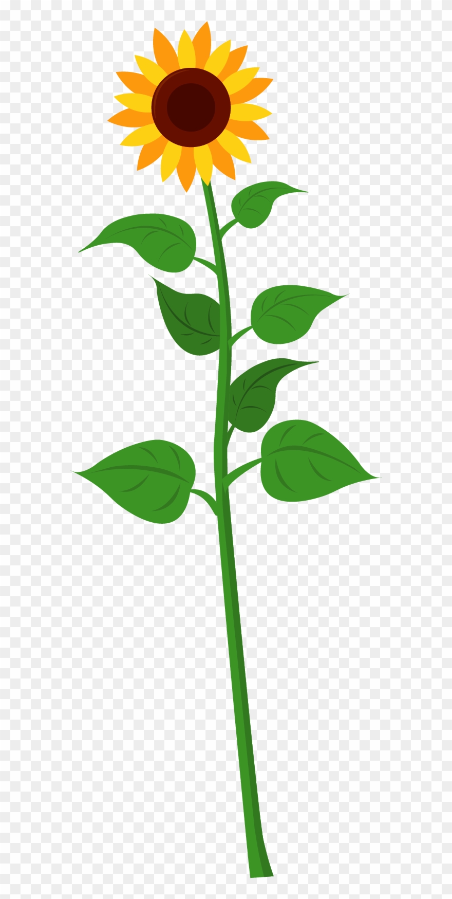 Sunflower Clipart
