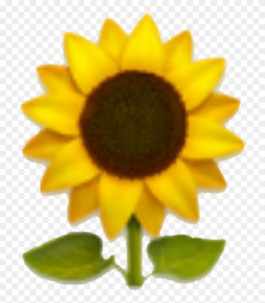 Emoji Sunflower Yellow Yellowflower Flower Clipart