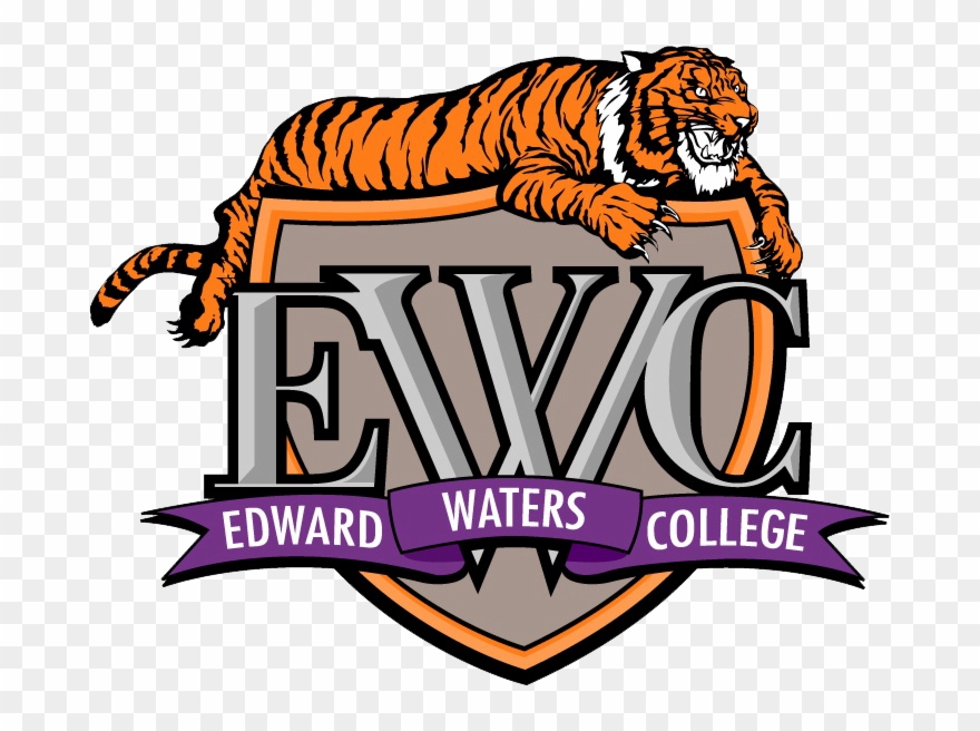 Lsu Tigers Clip Art - Png Download