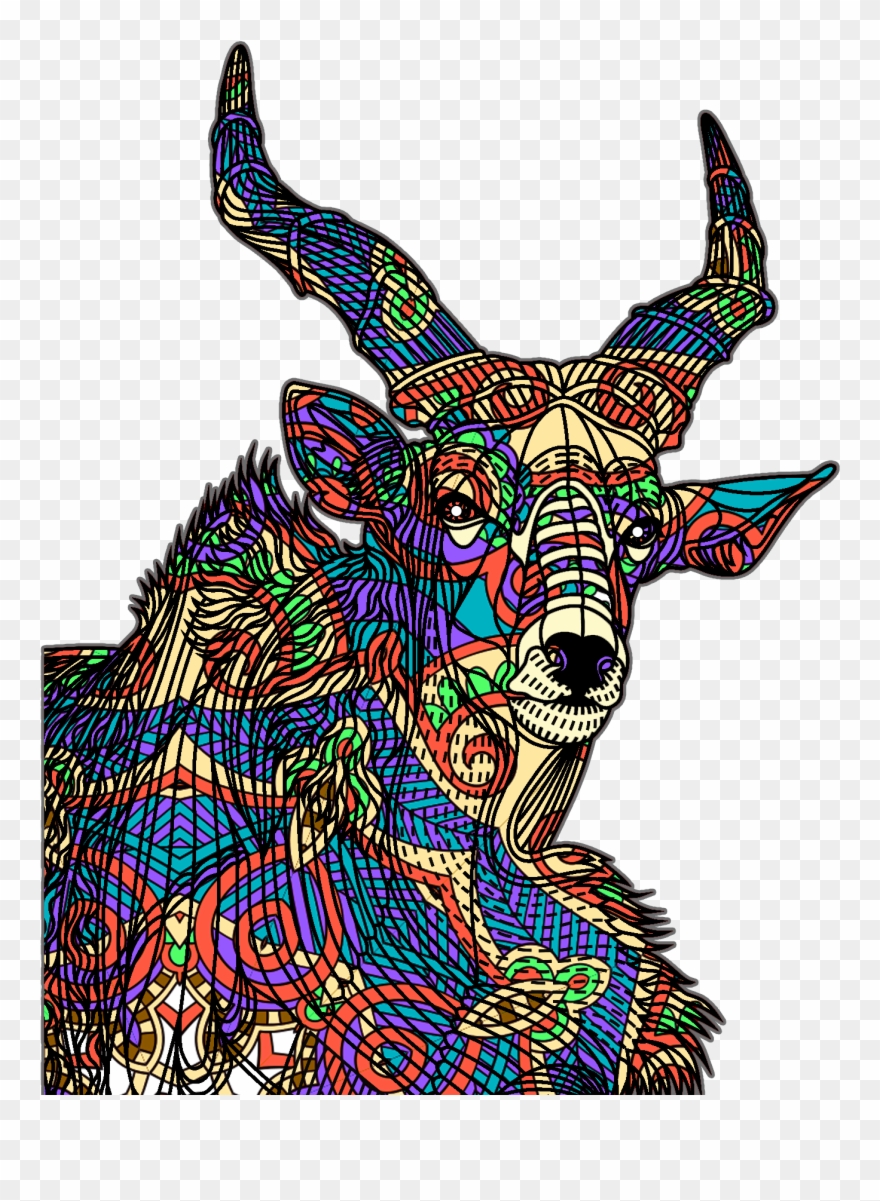 Animal Coloring Book Clipart