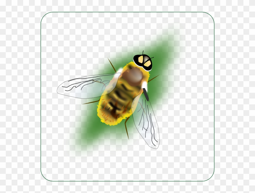 This Free Clip Arts Design Of Digital Bee Art - Png Download