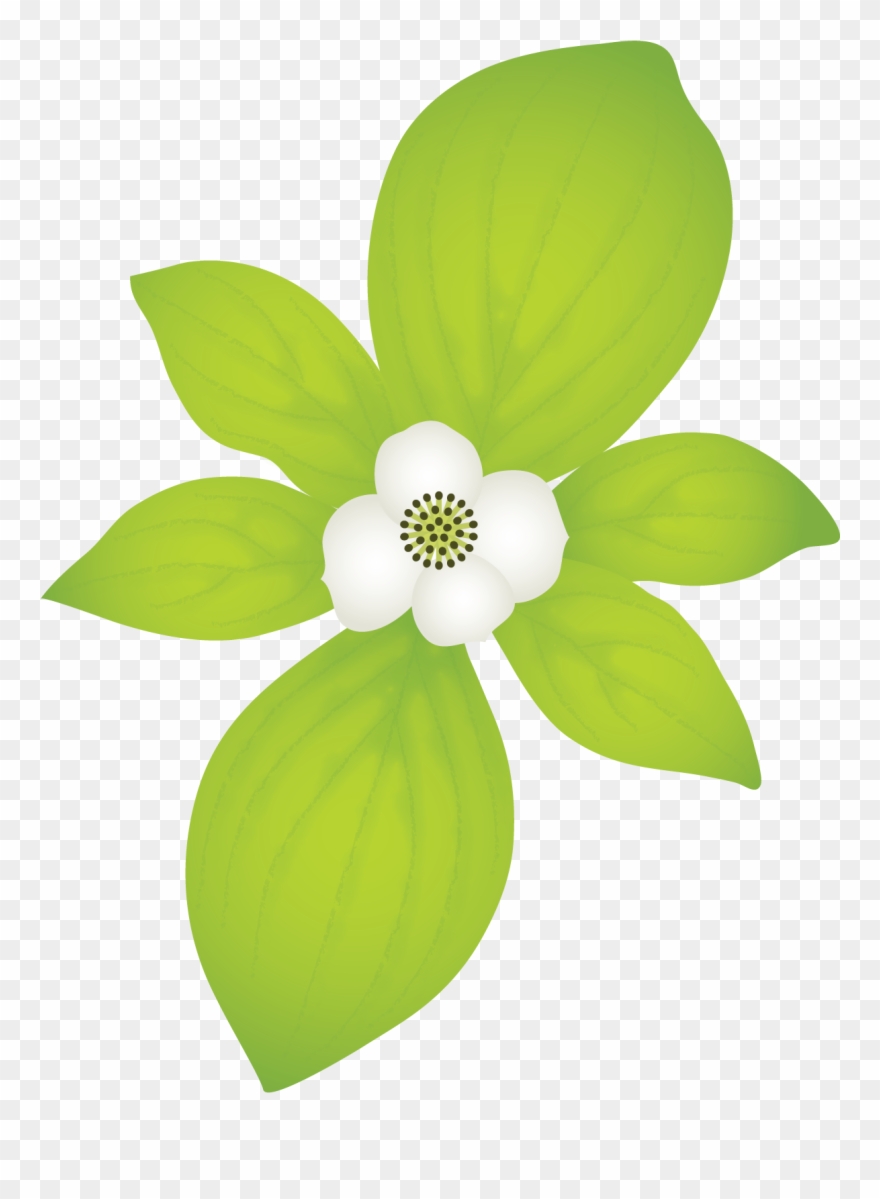 I Released Two New Free Texture Packs, From Last Month's Clipart